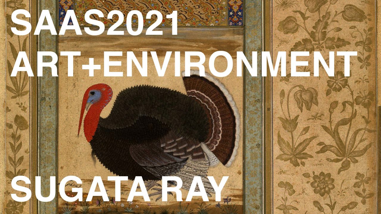 SAAS 2021 Art and Environment: Sugata Ray