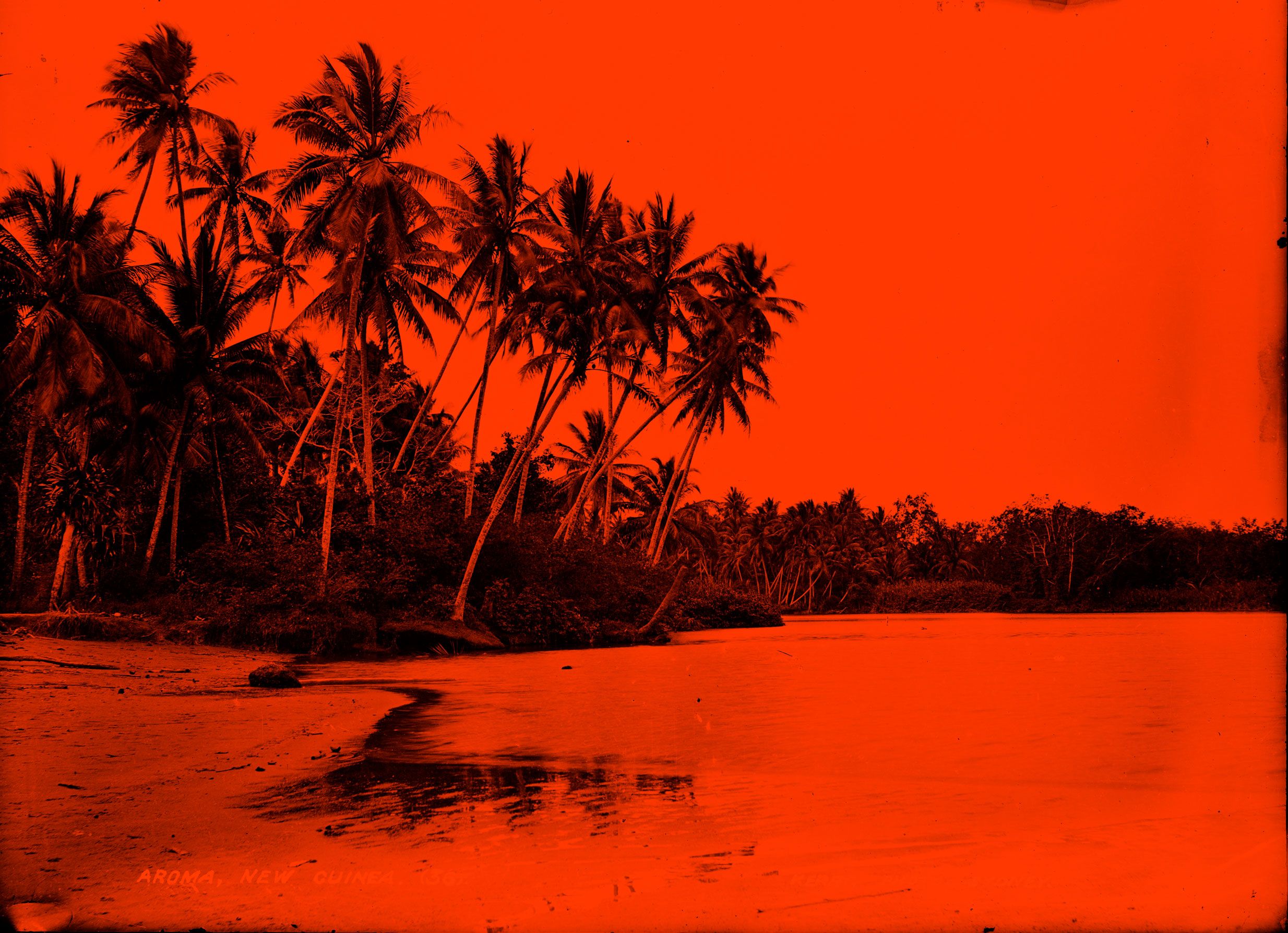 A photograph of a beach with palmtrees, tinted red.
