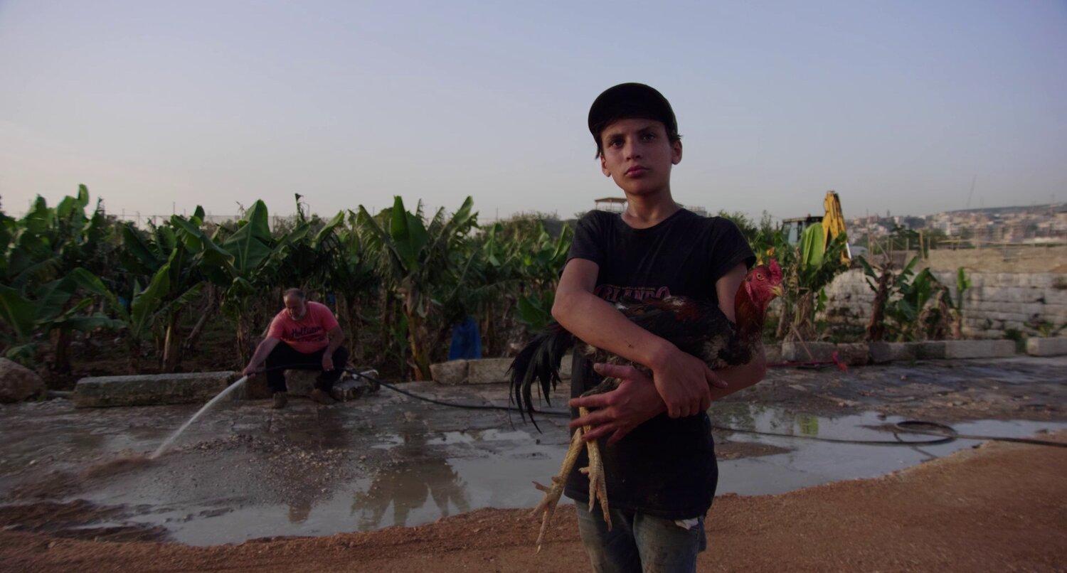 A still from Panos Aprahamian's film "This Haunting Memory That is Not My Own"